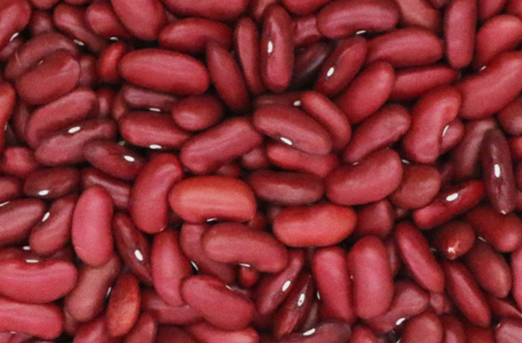 Dark Red Kidney Beans