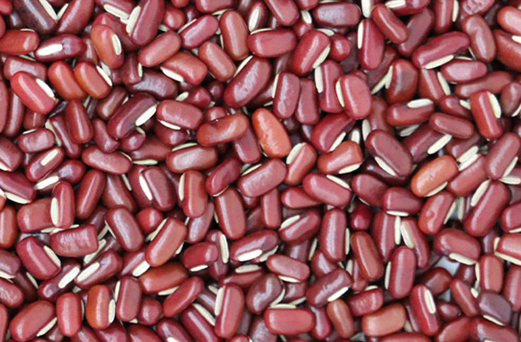 Red Bamboo Beans